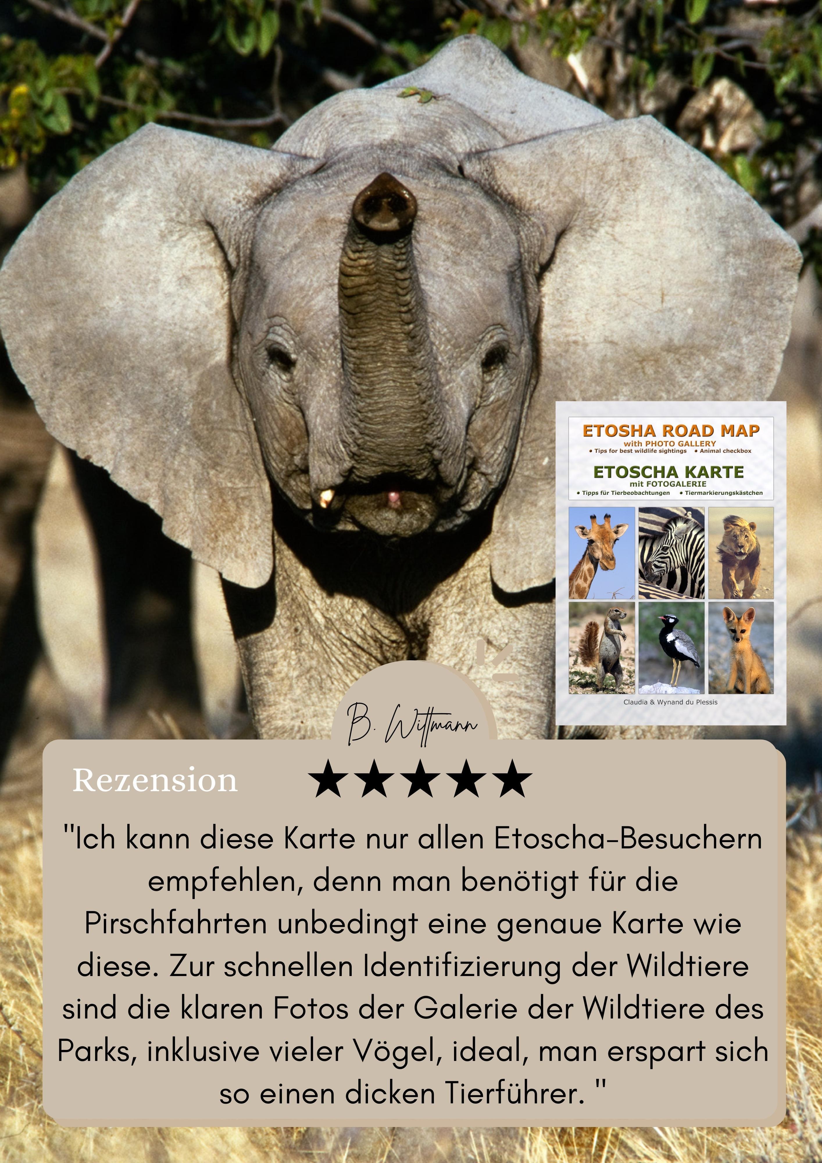 ETOSCHA KARTE (Etosha National Park, Namibia) mit Fotogalerie