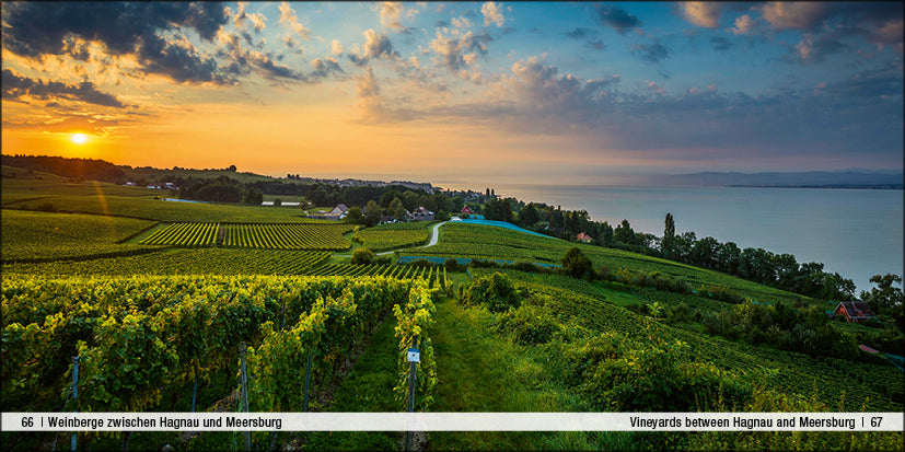 Bodensee / Lake Constance - Book To Go