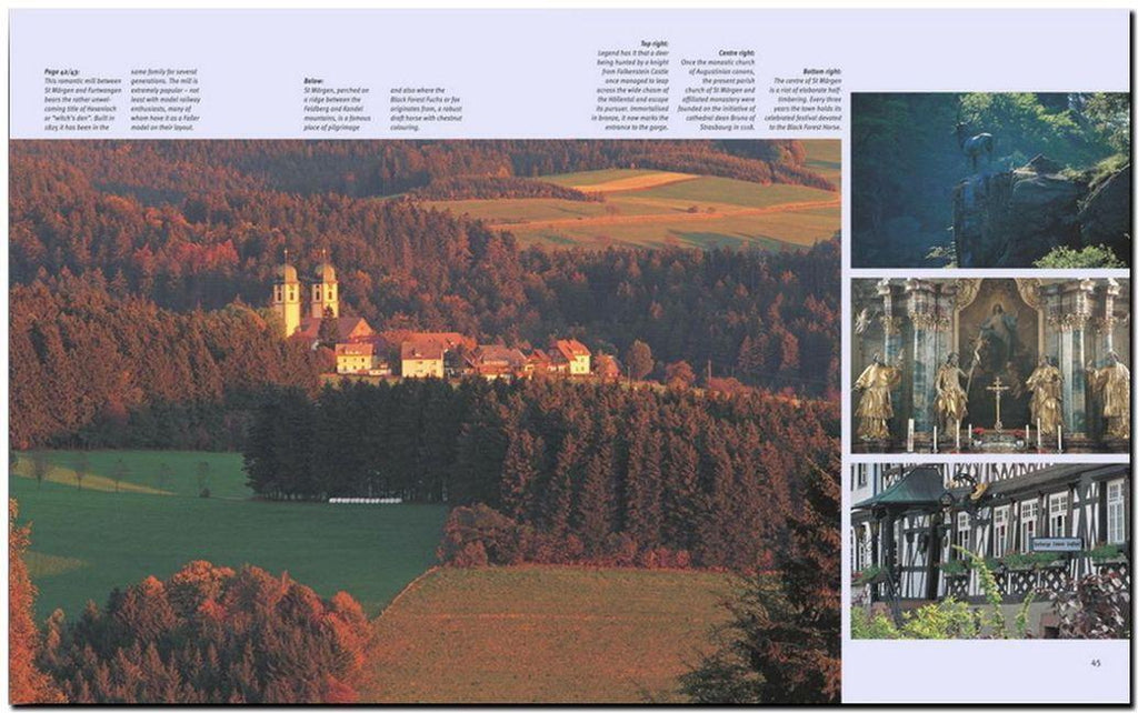 Journey through the Black Forest