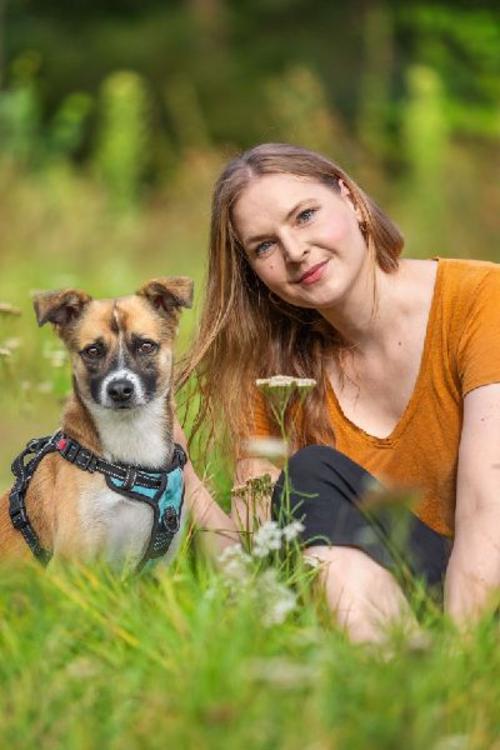 Mit Hund in Berlin