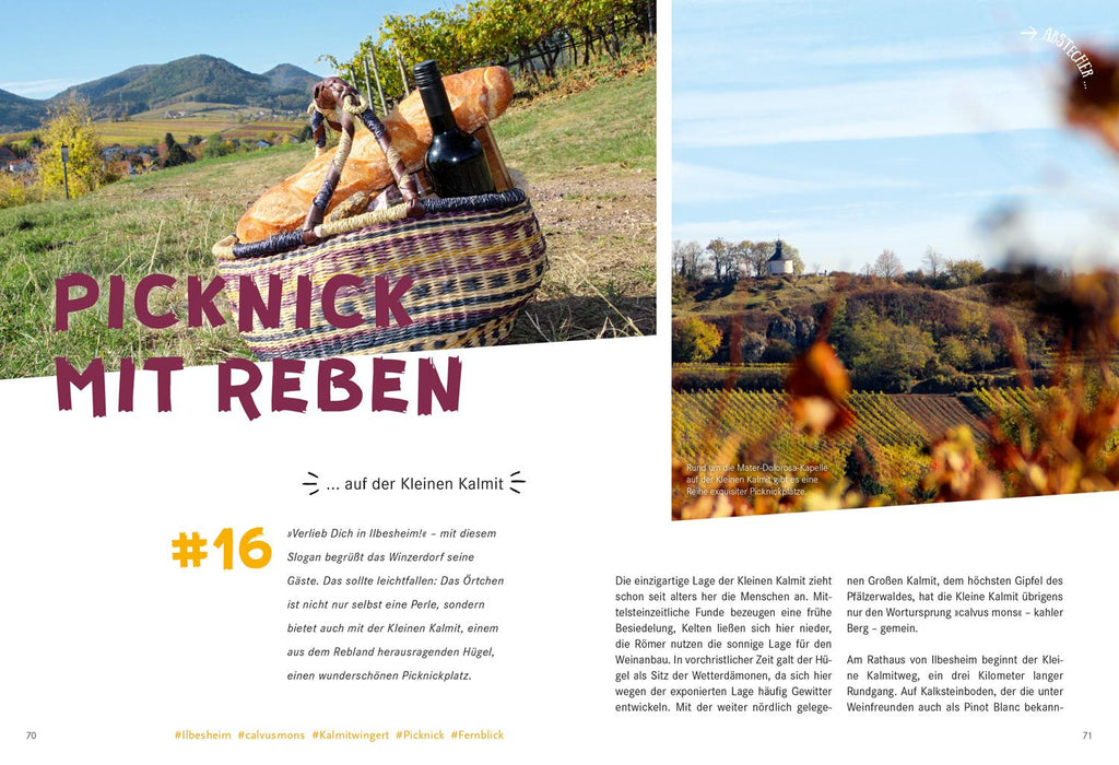 52 kleine & große Eskapaden in der Pfalz