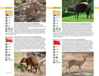 Safari-Reiseführer Gambia & Senegal