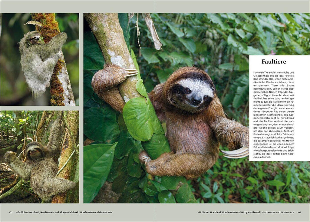 KUNTH Unterwegs in Costa Rica