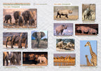 ETOSCHA KARTE (Etosha National Park, Namibia) mit Fotogalerie