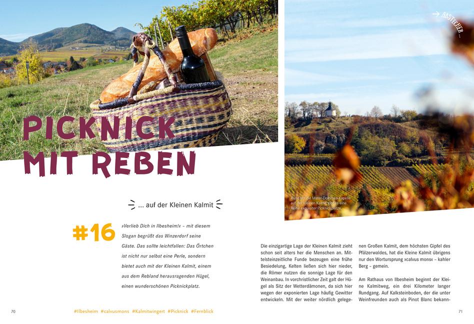 52 kleine & große Eskapaden in der Pfalz