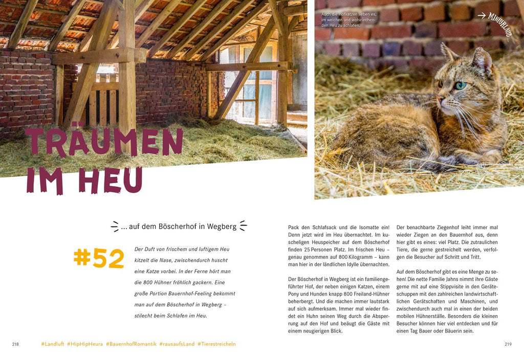 52 kleine & große Eskapaden in und um Düsseldorf