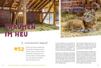 52 kleine & große Eskapaden in und um Düsseldorf