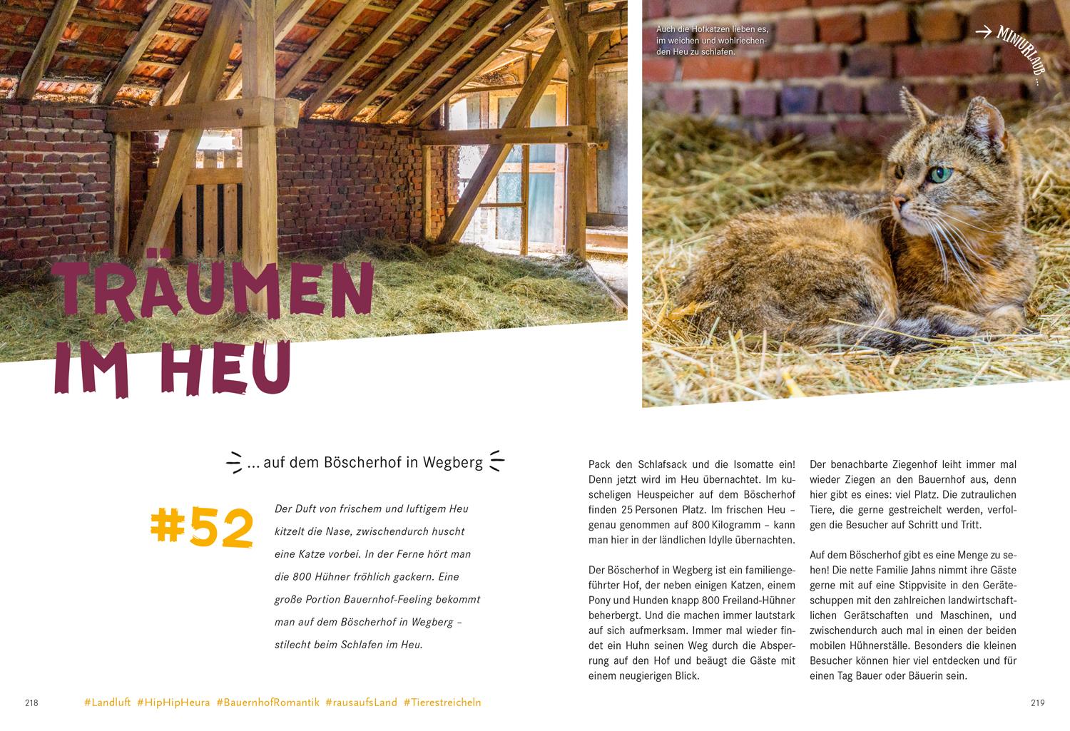 52 kleine & große Eskapaden in und um Düsseldorf