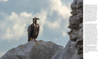 NATURERLEBNIS MALLORCA