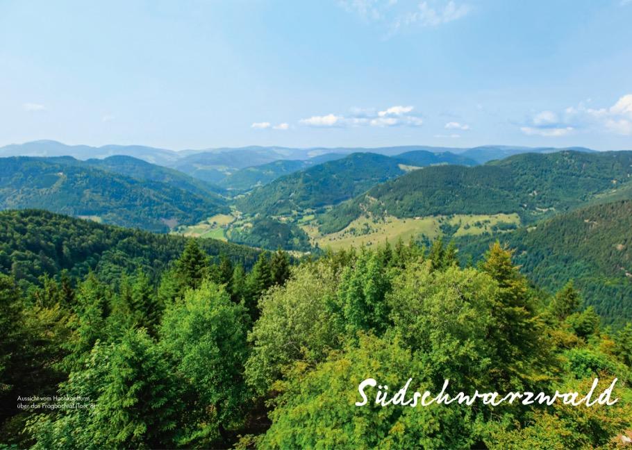 Panoramawege für Senioren Süd-Schwarzwald
