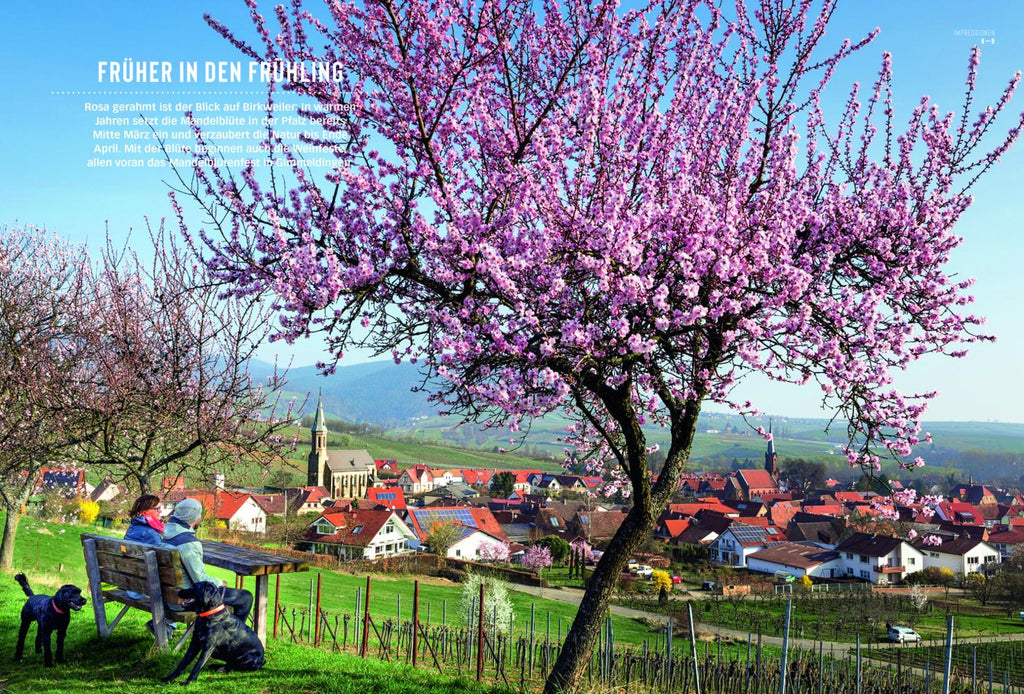 DUMONT Bildatlas Pfalz