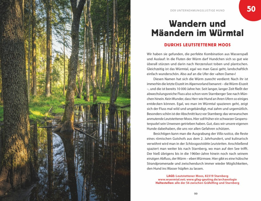 101 Sachen machen mit Hund - Alles, was ihr in & um München erlebt haben müsst