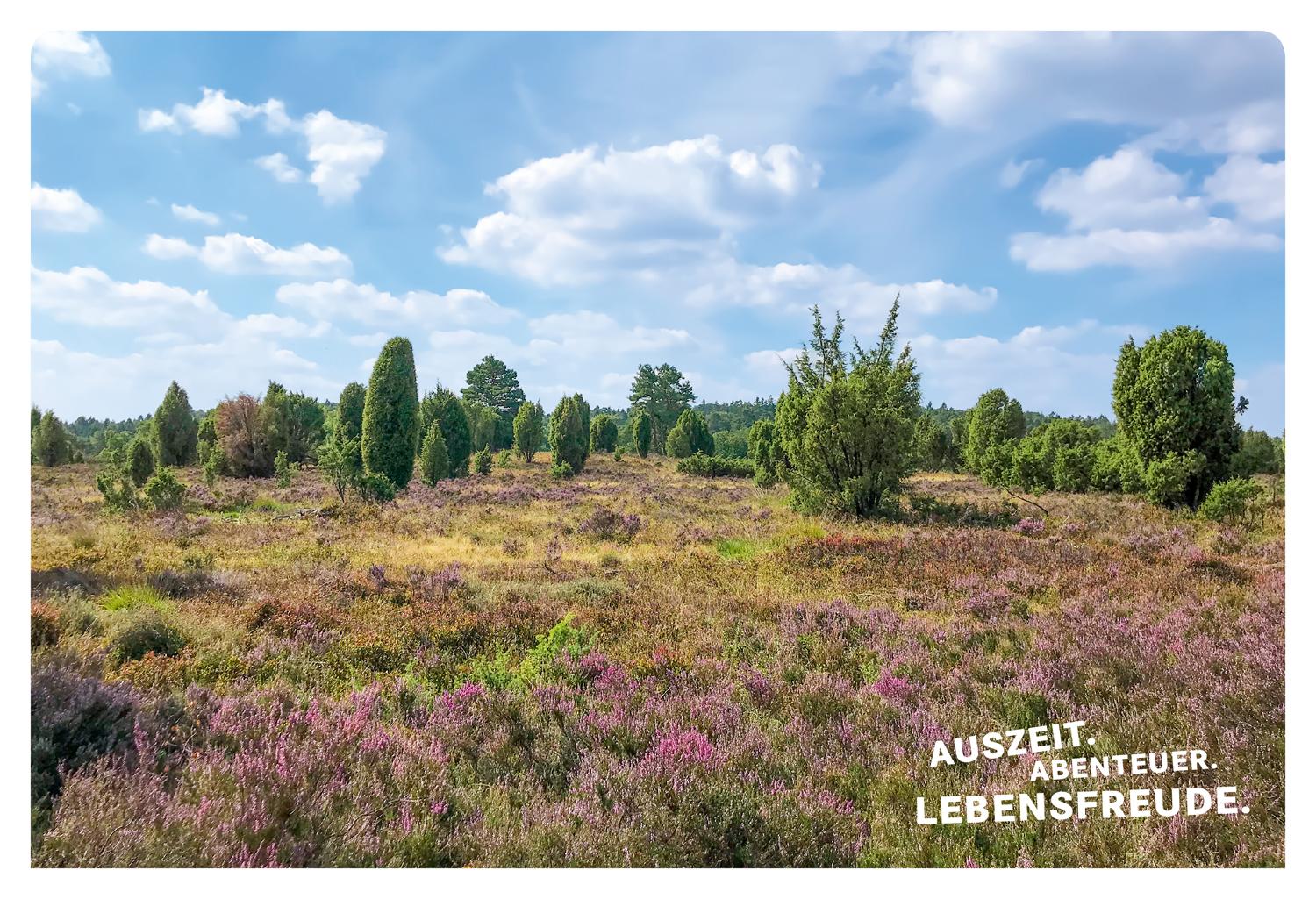 52 kleine & große Eskapaden in der Lüneburger Heide