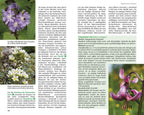 Blumenwanderungen Bayerische Alpen