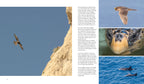 NATURERLEBNIS MALLORCA