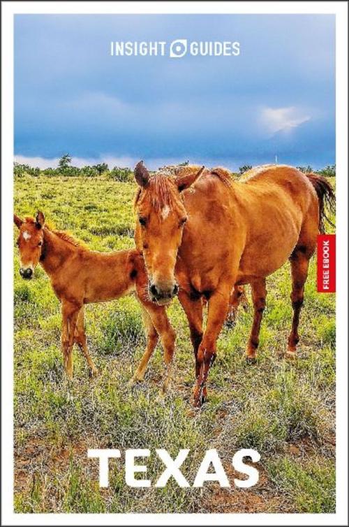 Insight Guides Texas: Travel Guide with eBook