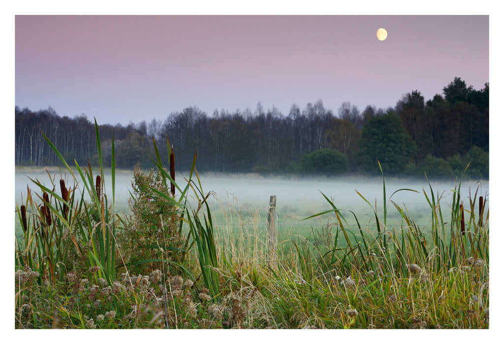 Die Mecklenburgische Seenplatte