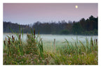 Die Mecklenburgische Seenplatte