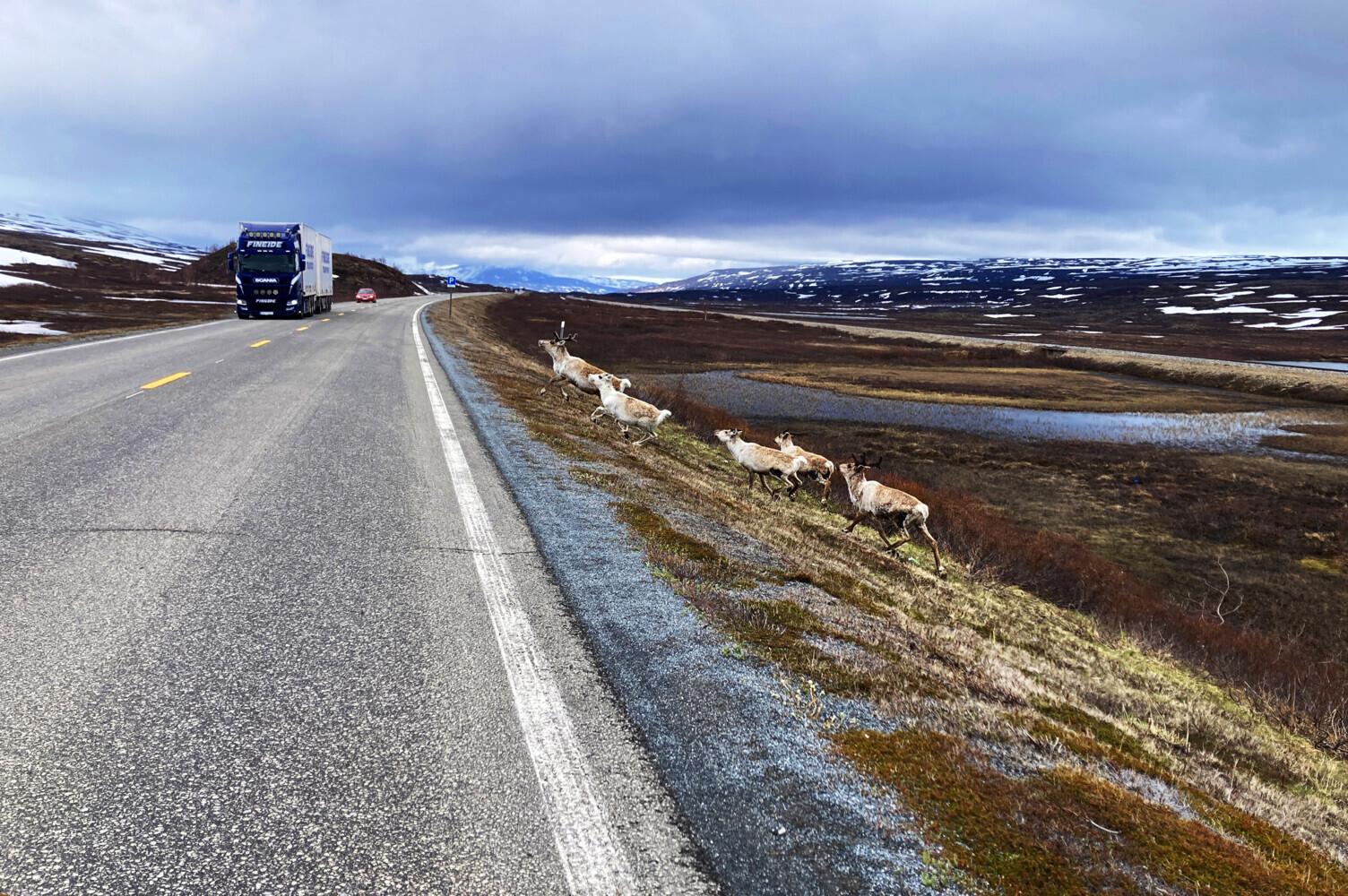 Abenteuer NORWEGEN
