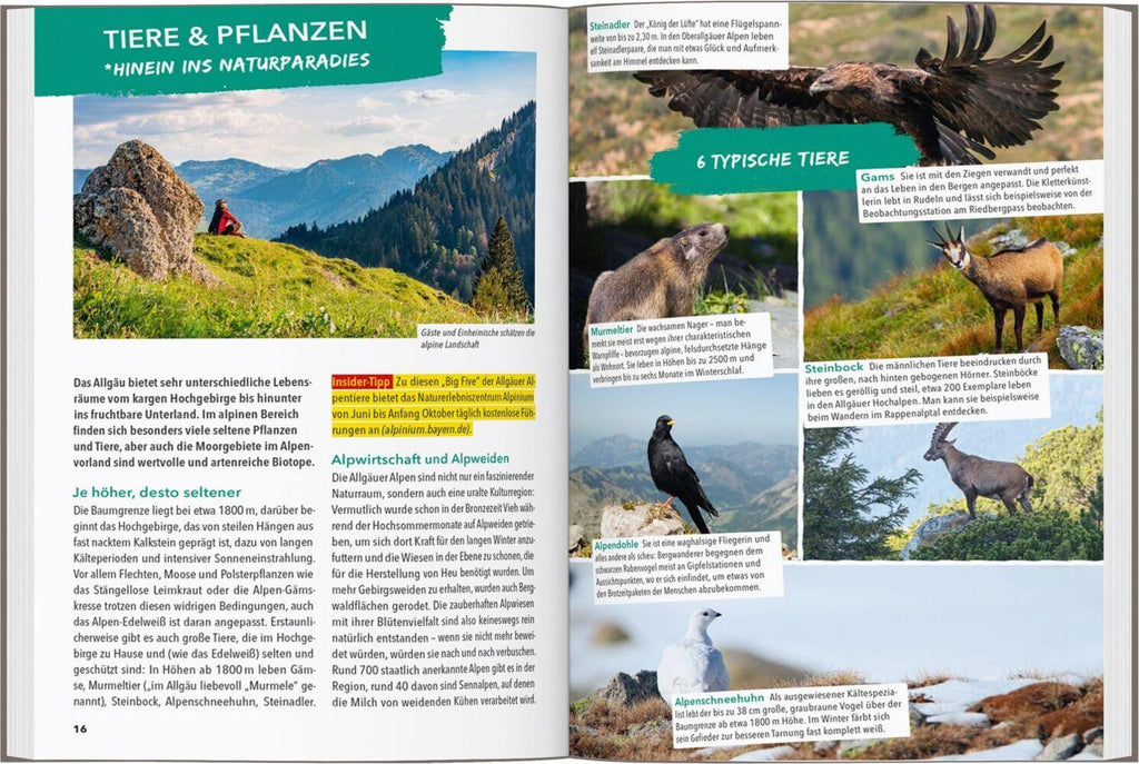 MARCO POLO OUTDOOR GUIDE Reiseführer Allgäu