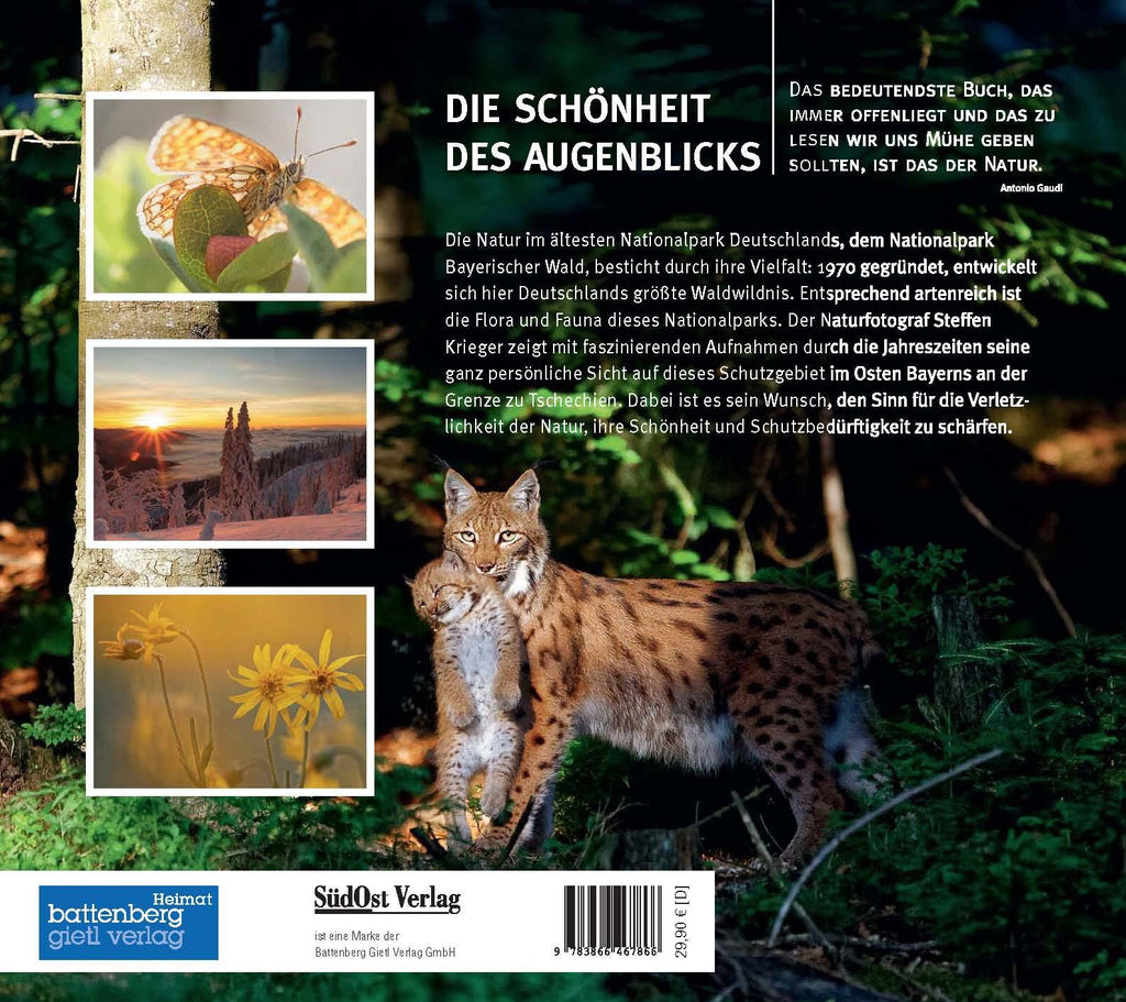 Die Schönheit des Augenblicks