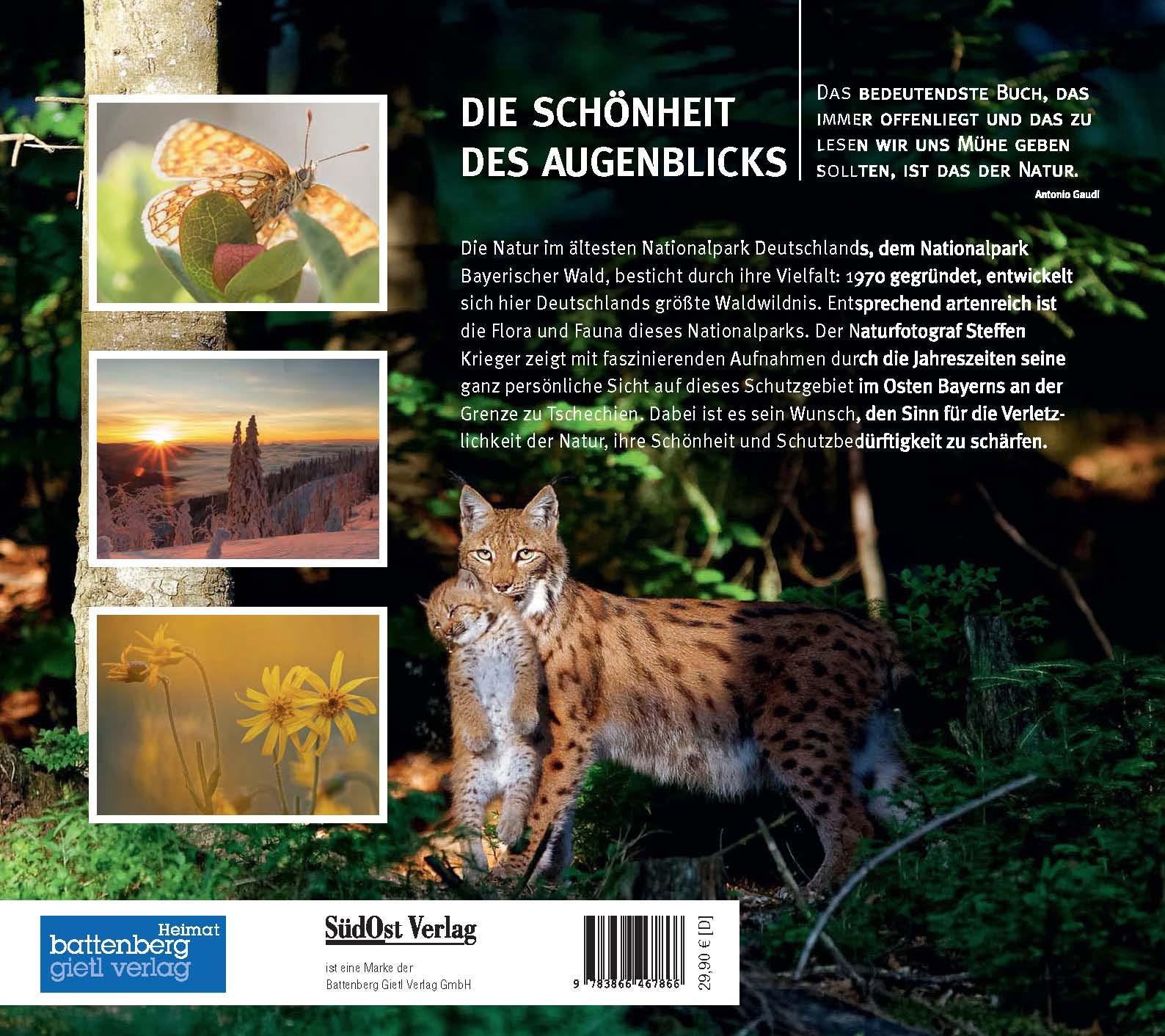 Die Schönheit des Augenblicks