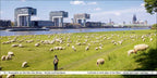 Köln/Cologne - Book To Go