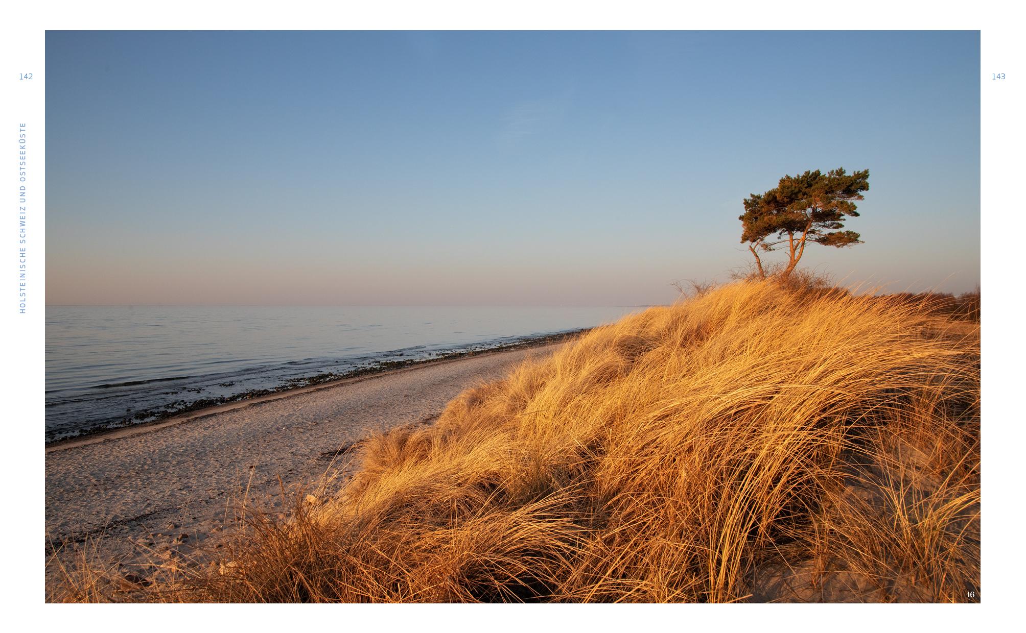 Wild Guide Hamburg & der Nordwesten