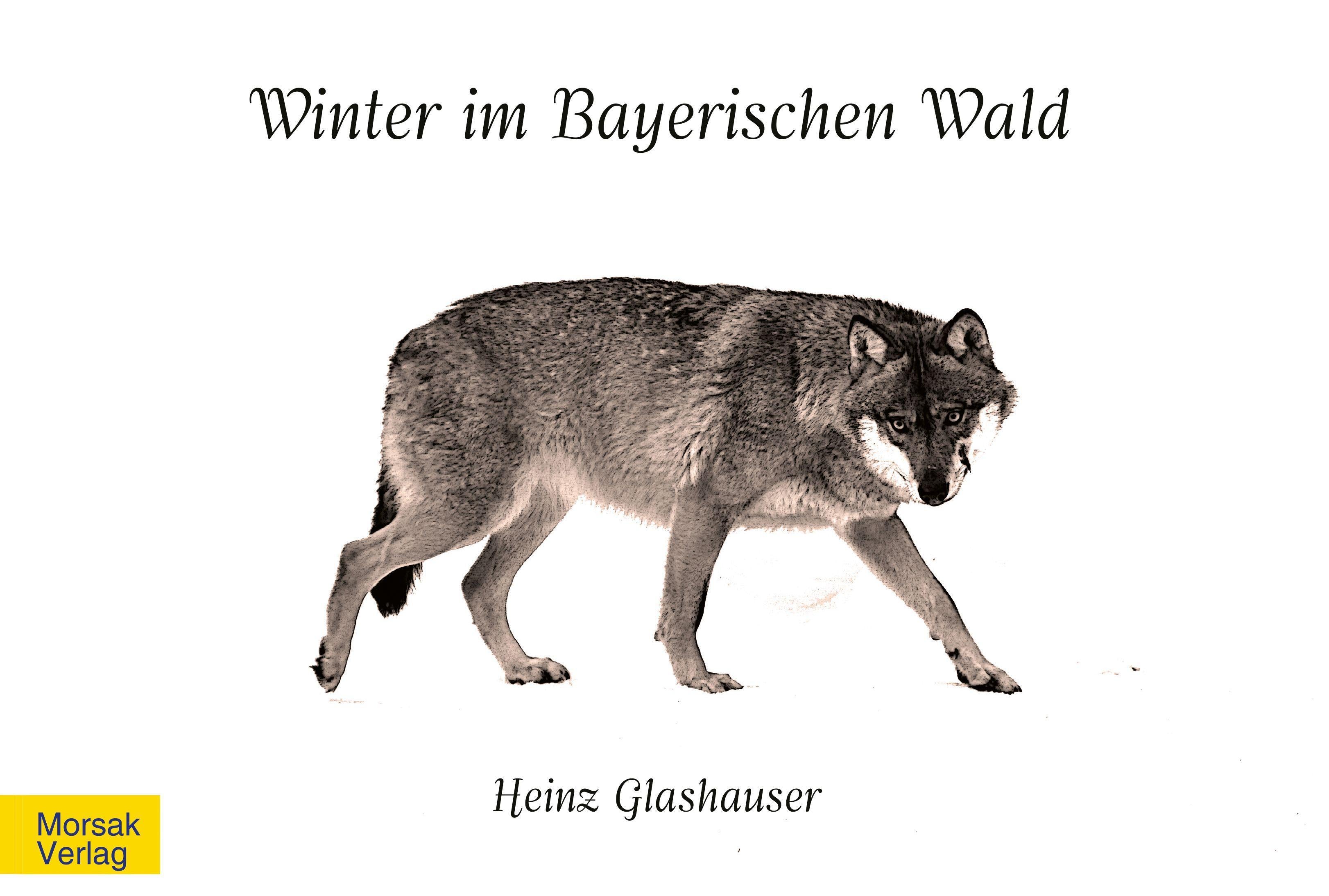 Winter im Bayerischen Wald