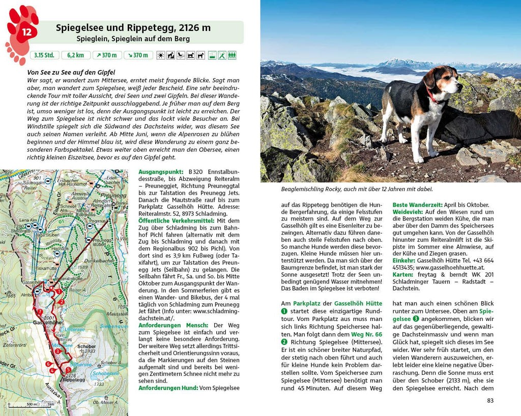 Wandern mit Hund Steiermark
