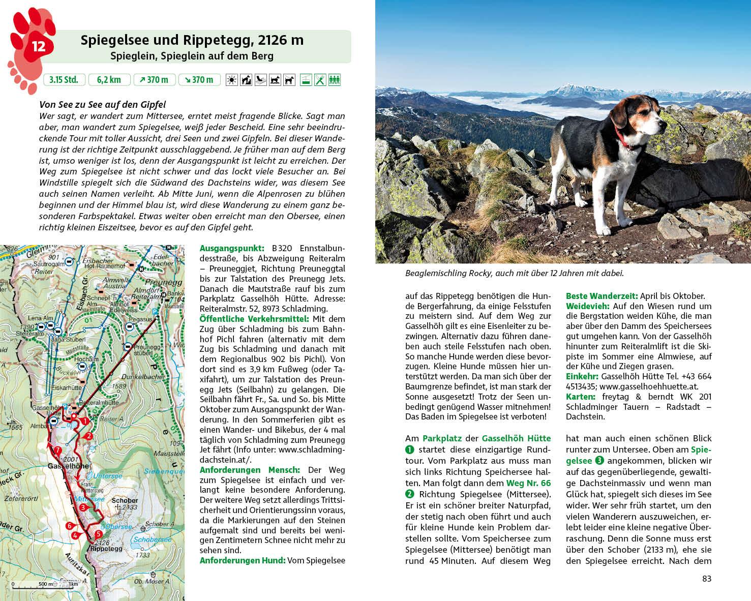 Wandern mit Hund Steiermark
