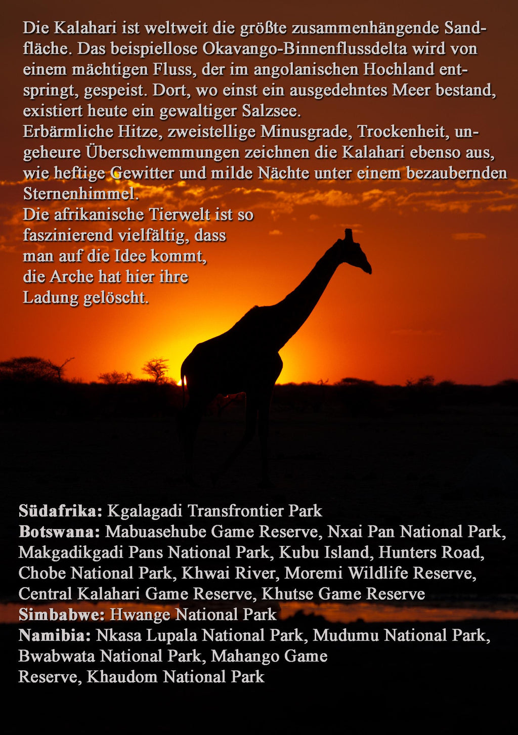 KALAHARI: Alle Parks der Kalahari