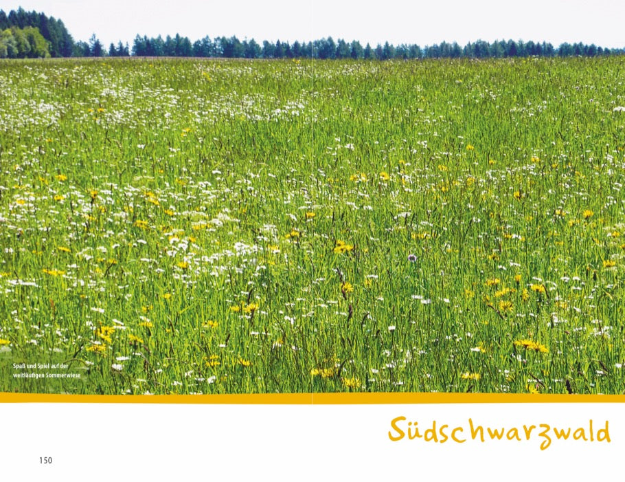 Wanderspaß mit Kindern - Schwarzwald