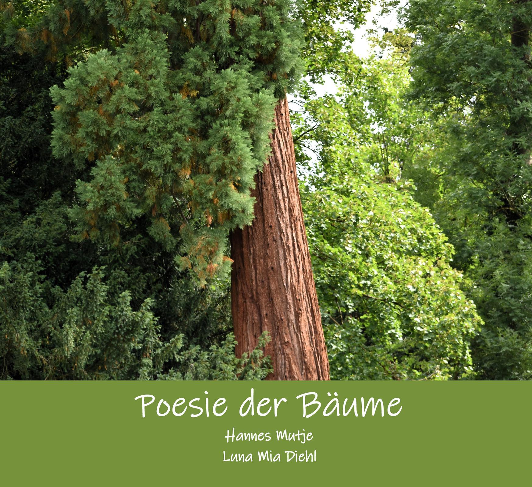 Poesie der Bäume