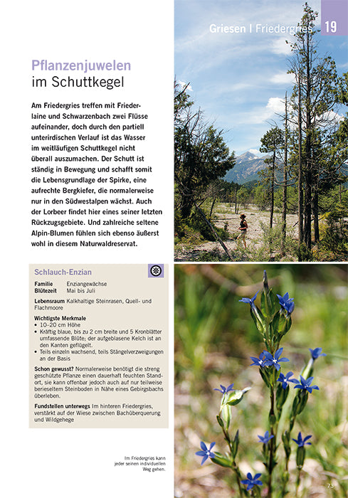 Die schönsten Blüten-Wanderungen in Oberbayern & Tirol 02