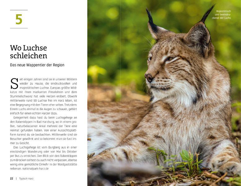 Die ultimative Bucket List für den Harz
