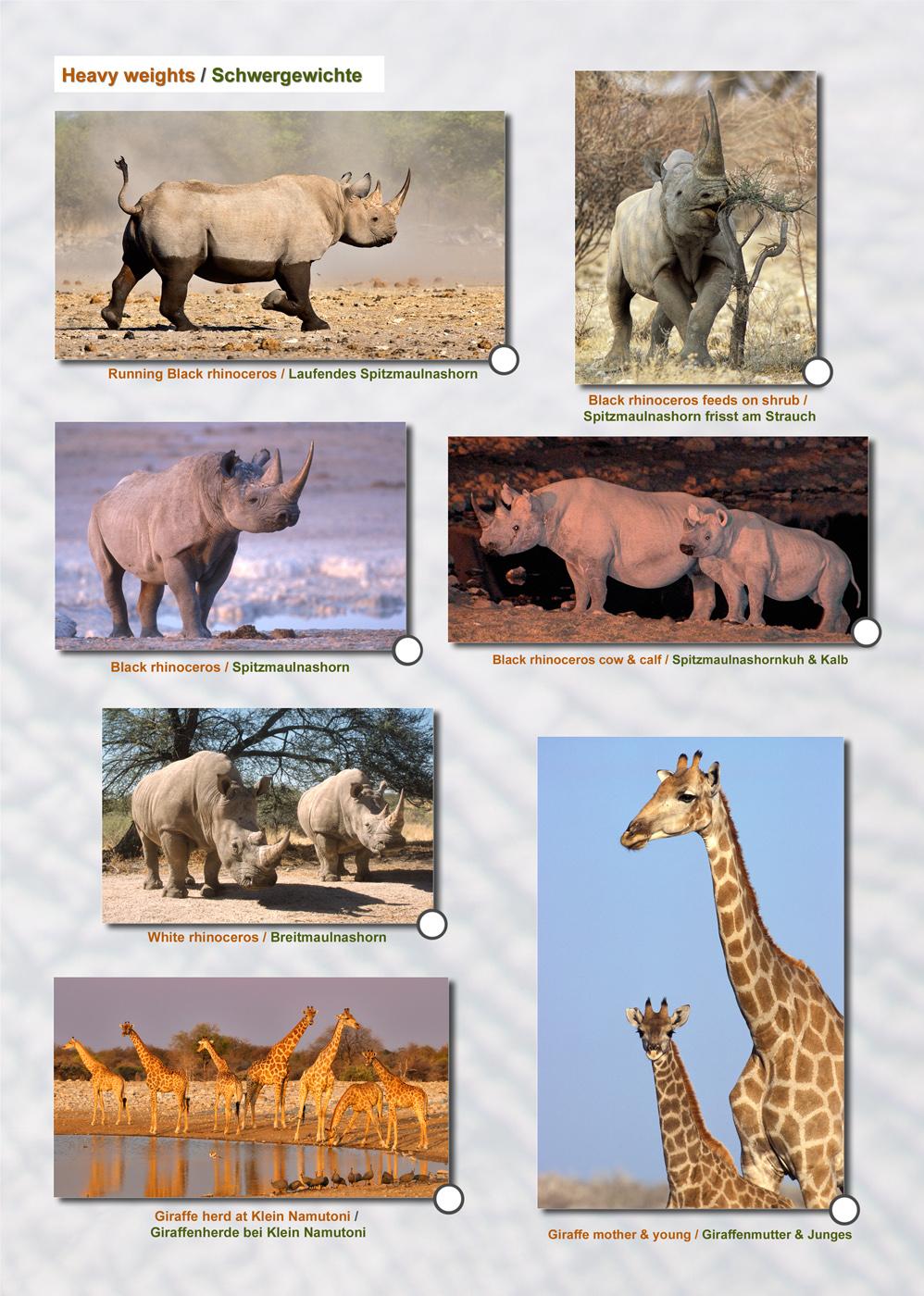 Das komplette Kartenset NAMIBIA (3-teilig)