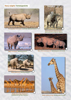 Das komplette Kartenset NAMIBIA (3-teilig)