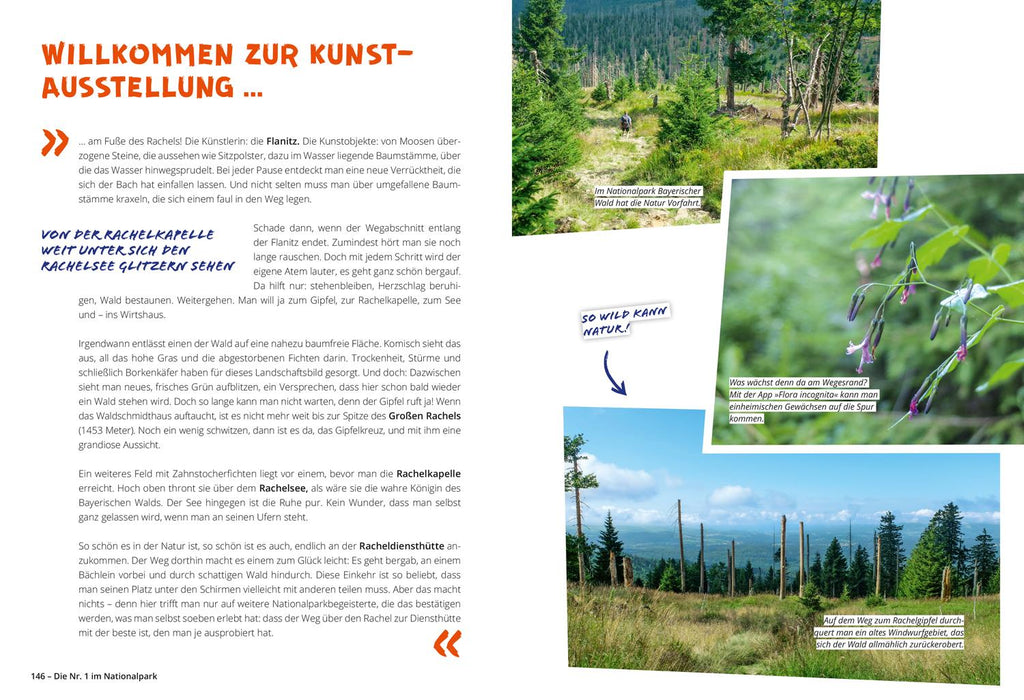 DUMONT Wanderzeit im Bayerischen Wald