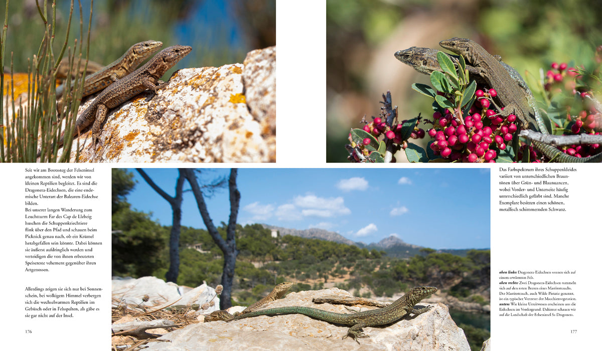 NATURERLEBNIS MALLORCA