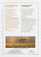 ETOSCHA KARTE (Etosha National Park, Namibia) mit Fotogalerie