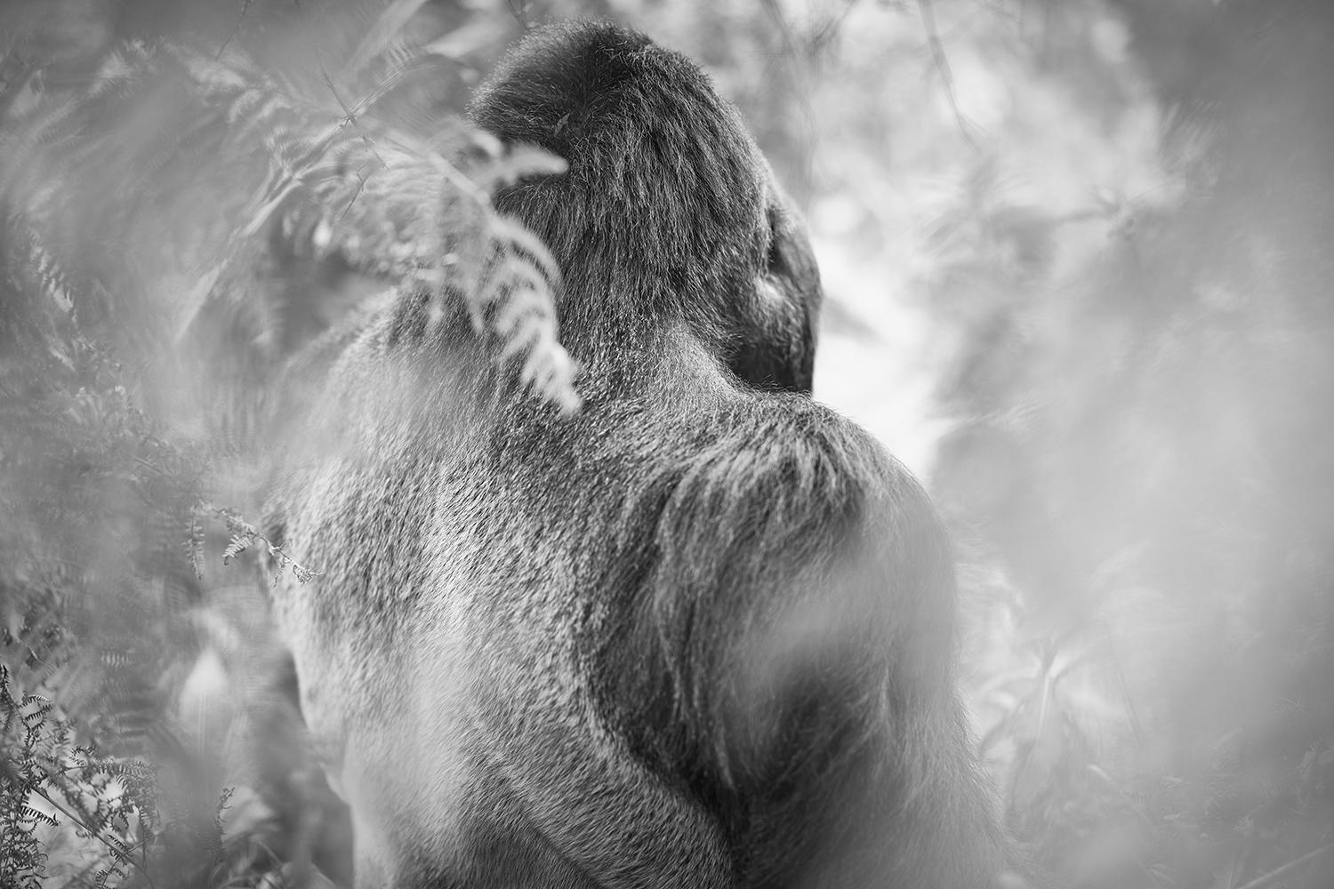 KUNTH Bildband Wild und frei