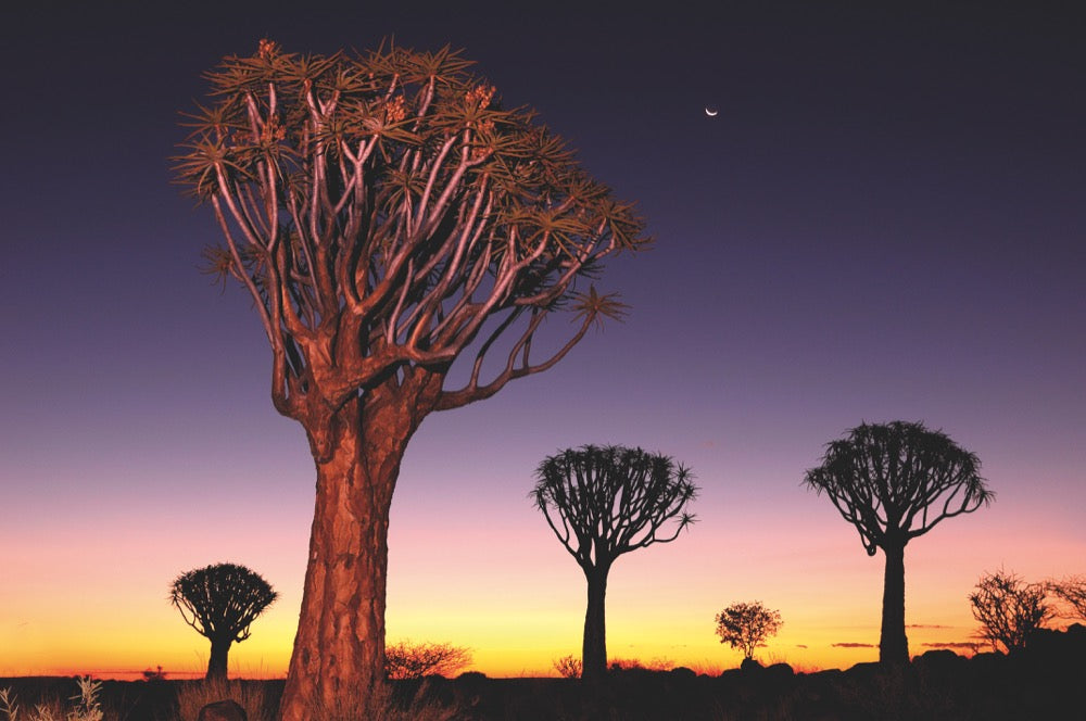 100 Highlights Afrikas Süden