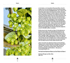 Von Bier zu Bier