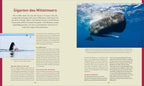 KUNTH Bildband Safari Europa