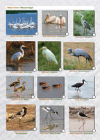 ETOSCHA KARTE (Etosha National Park, Namibia) mit Fotogalerie