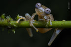 Wildlife Fotografien des Jahres - Portfolio 30.