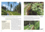 Vergessene Pfade im Harz