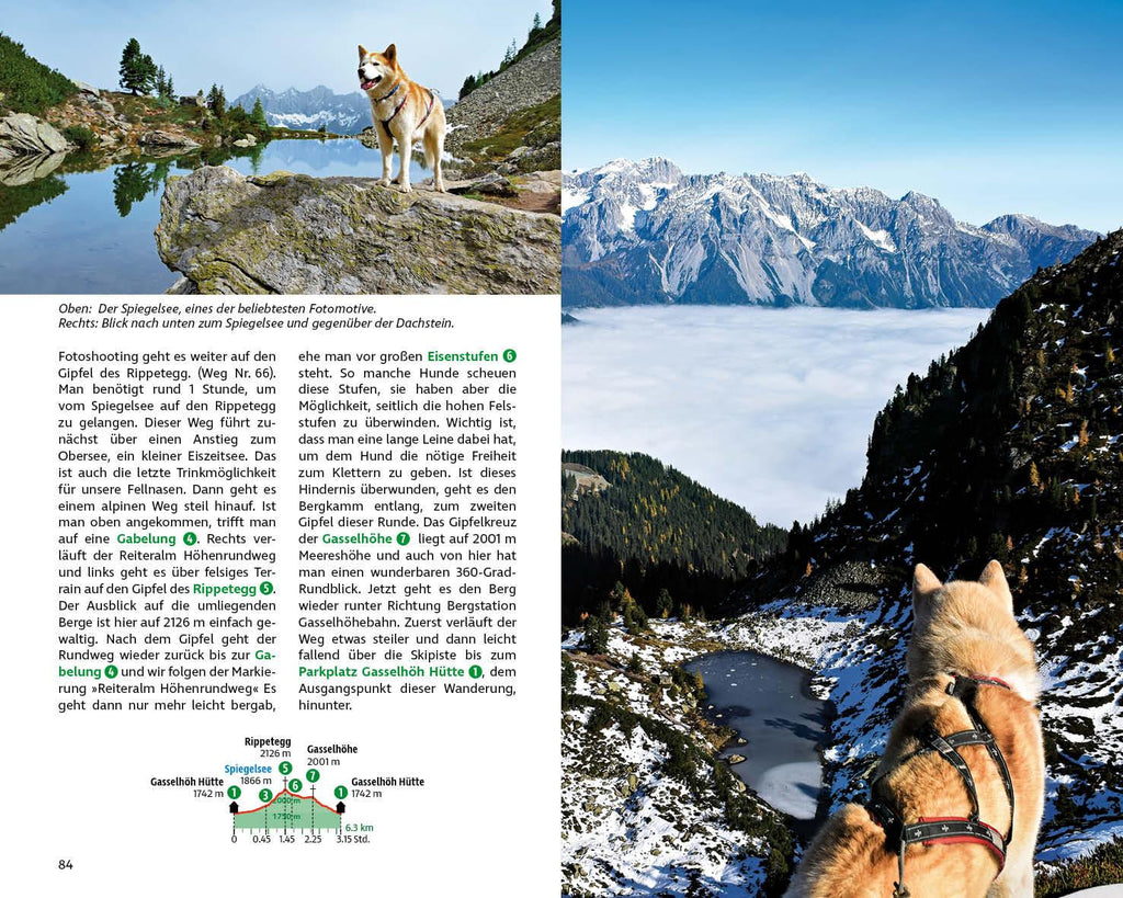 Wandern mit Hund Steiermark