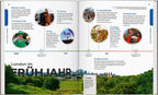 LONELY PLANET Reiseführer Entdecke London